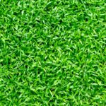 natur-feld-sommer-413195